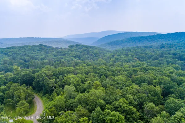 a view of a lush green hillside and a houses