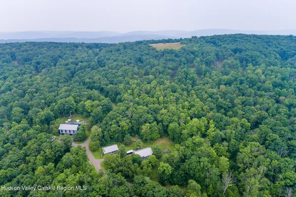 a view of a lush green forest with lots of trees