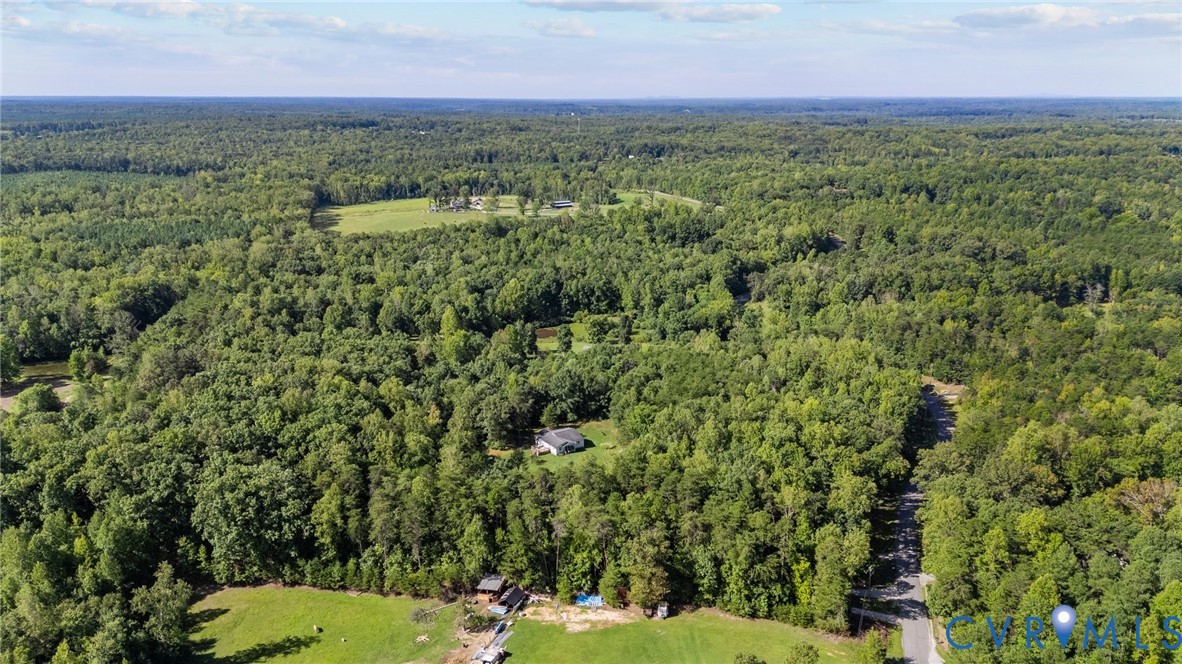 0 Davis Mill Road Goochland, VA 23063 - Photo 11 of 24