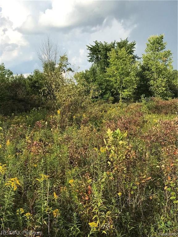 17369 Hickory Ridge Road Fenton, MI 48430 - Photo 3 of 4