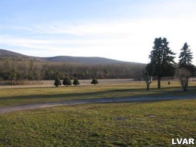 852 East Lizard Creek Road Andreas, PA 18211 - Photo 4 of 13 Gallery Image 4