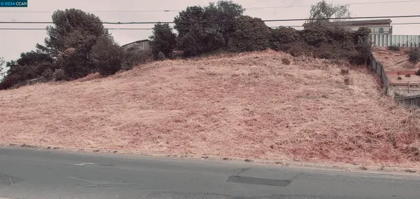 a view of a dry yard