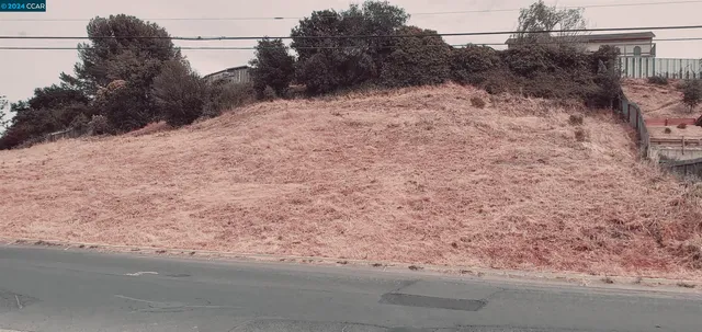 a view of a dry yard