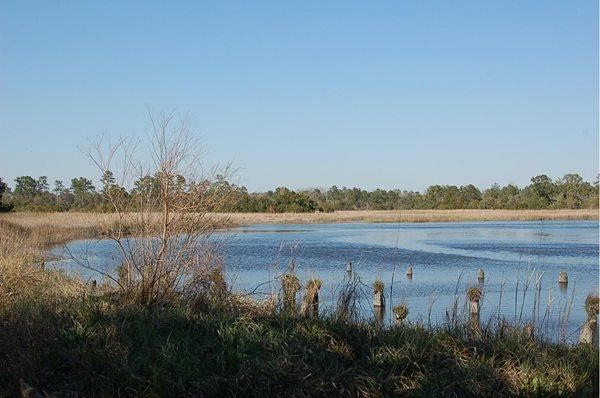 4151 Ashley River Road Charleston, SC 29414 - Photo 1 of 5 Millbrook