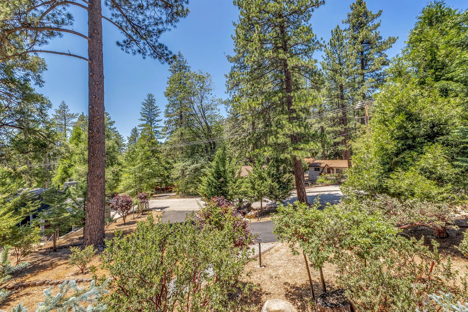 25100 Rim Rock Road Idyllwild, CA 92549 - Photo 10 of 37 Untitled