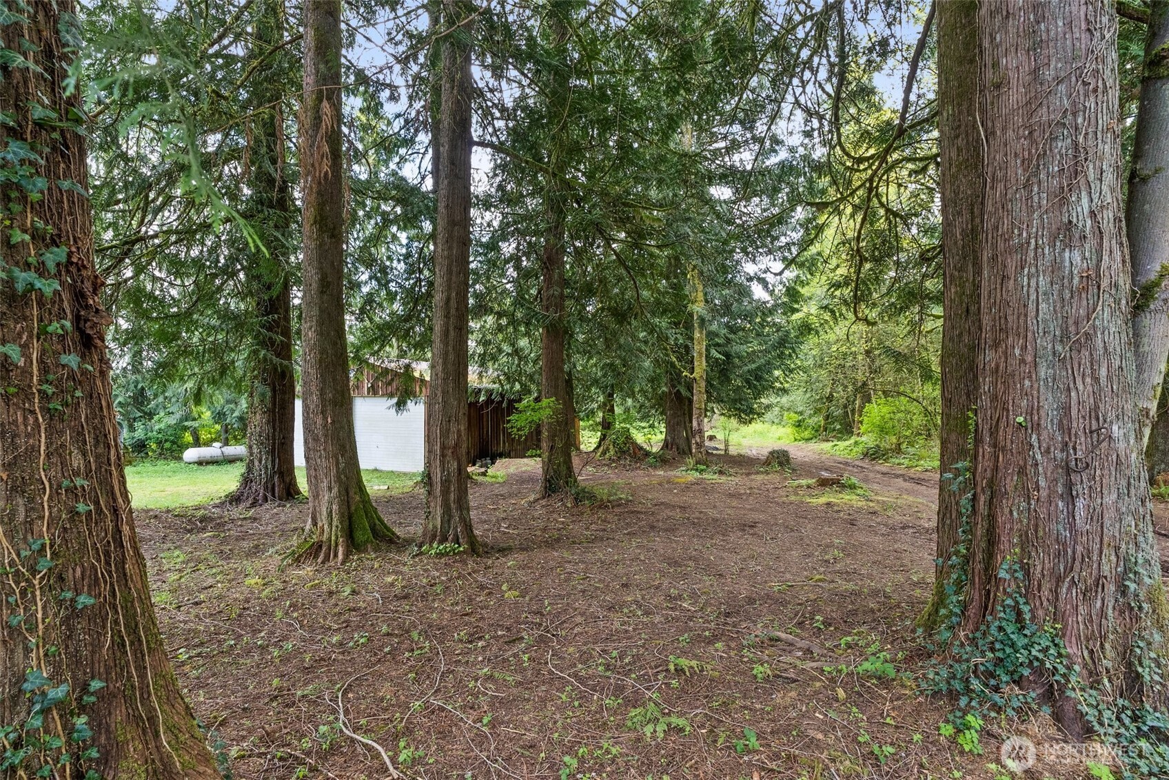 225 West Avery Road Winlock, WA 98596 - Photo 12 of 18 a view of a forest with trees