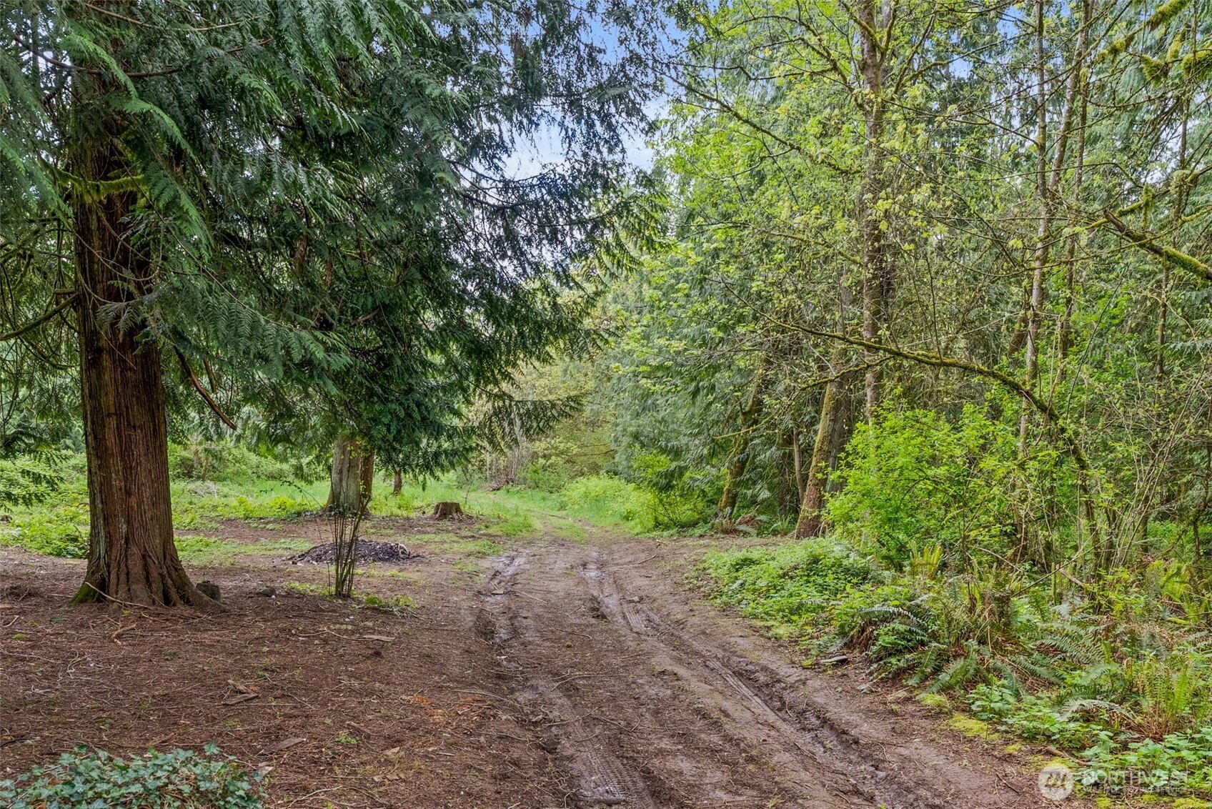 225 West Avery Road Winlock, WA 98596 - Photo 13 of 18 a view of outdoor space and trees