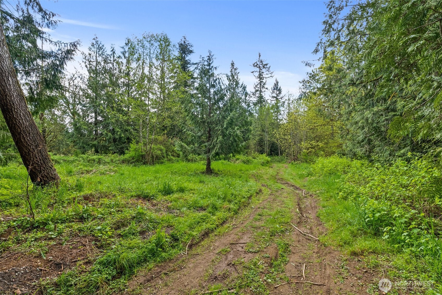 225 West Avery Road Winlock, WA 98596 - Photo 14 of 18 a green field with lots of bushes