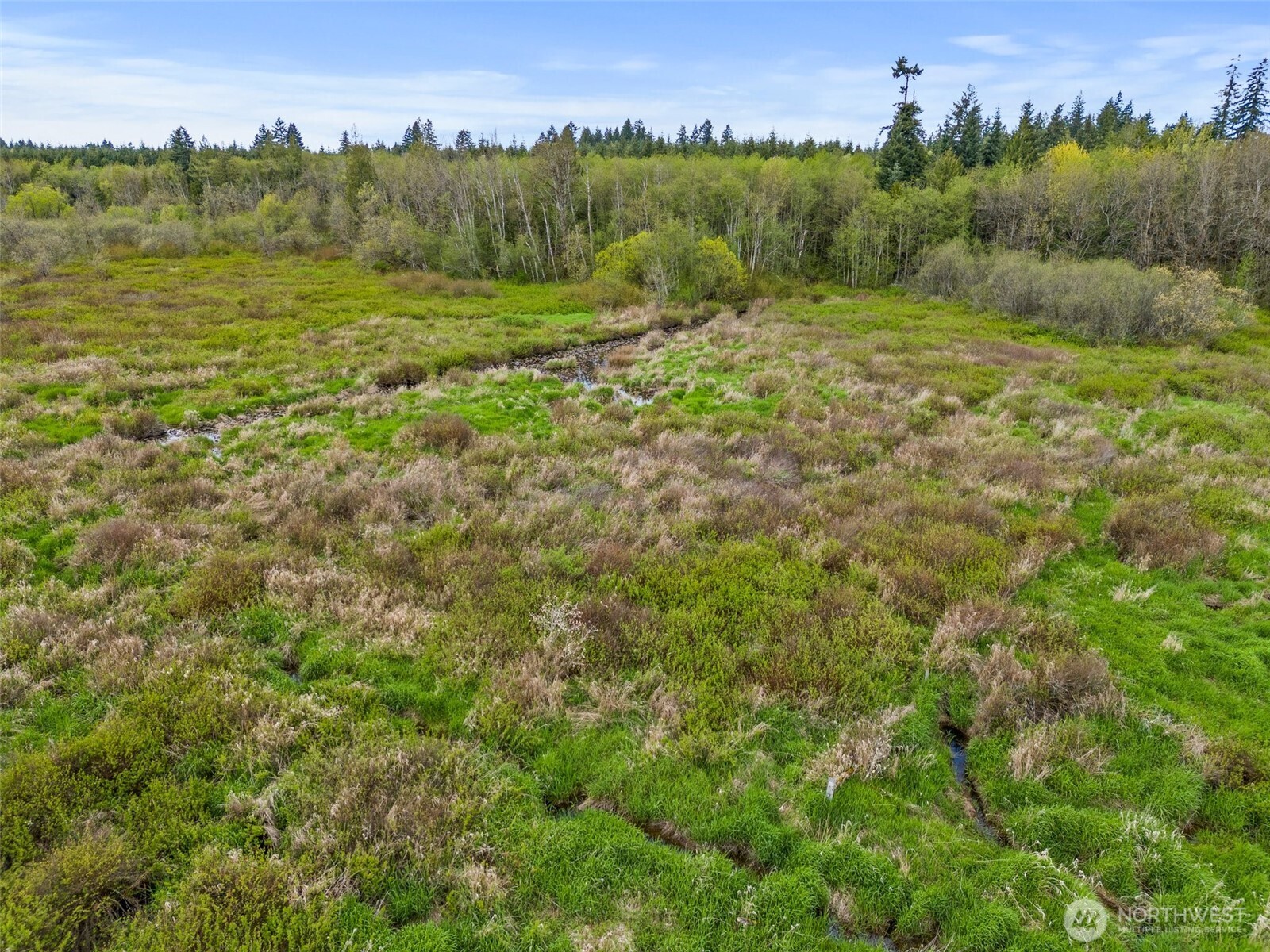 225 West Avery Road Winlock, WA 98596 - Photo 18 of 18 a view of a field with an ocean
