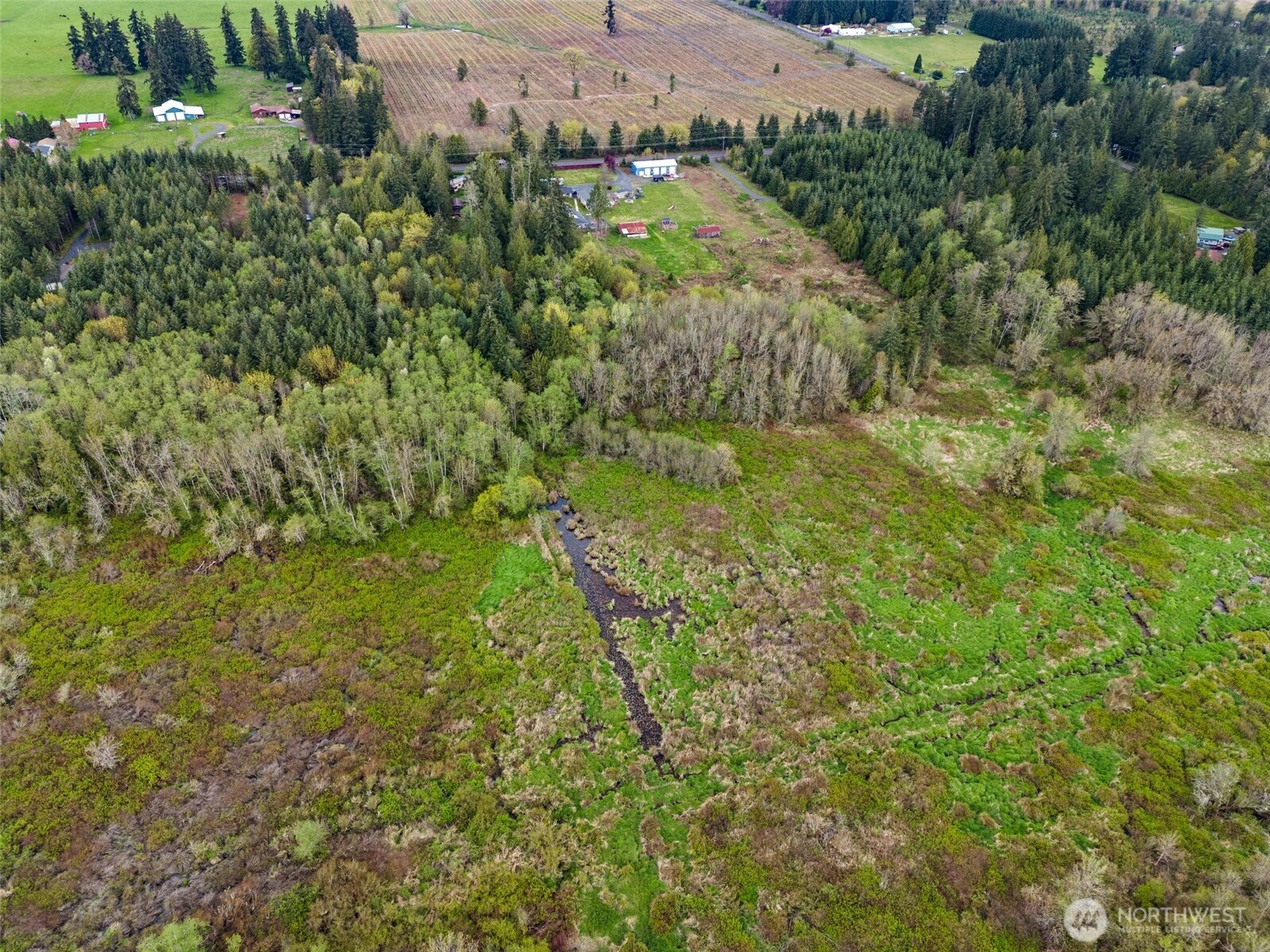 225 West Avery Road Winlock, WA 98596 - Photo 4 of 18 a view of a yard with plants and large trees