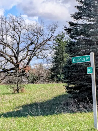 $8,250 | 1097 Lincoln Drive, Weidman, MI 48893