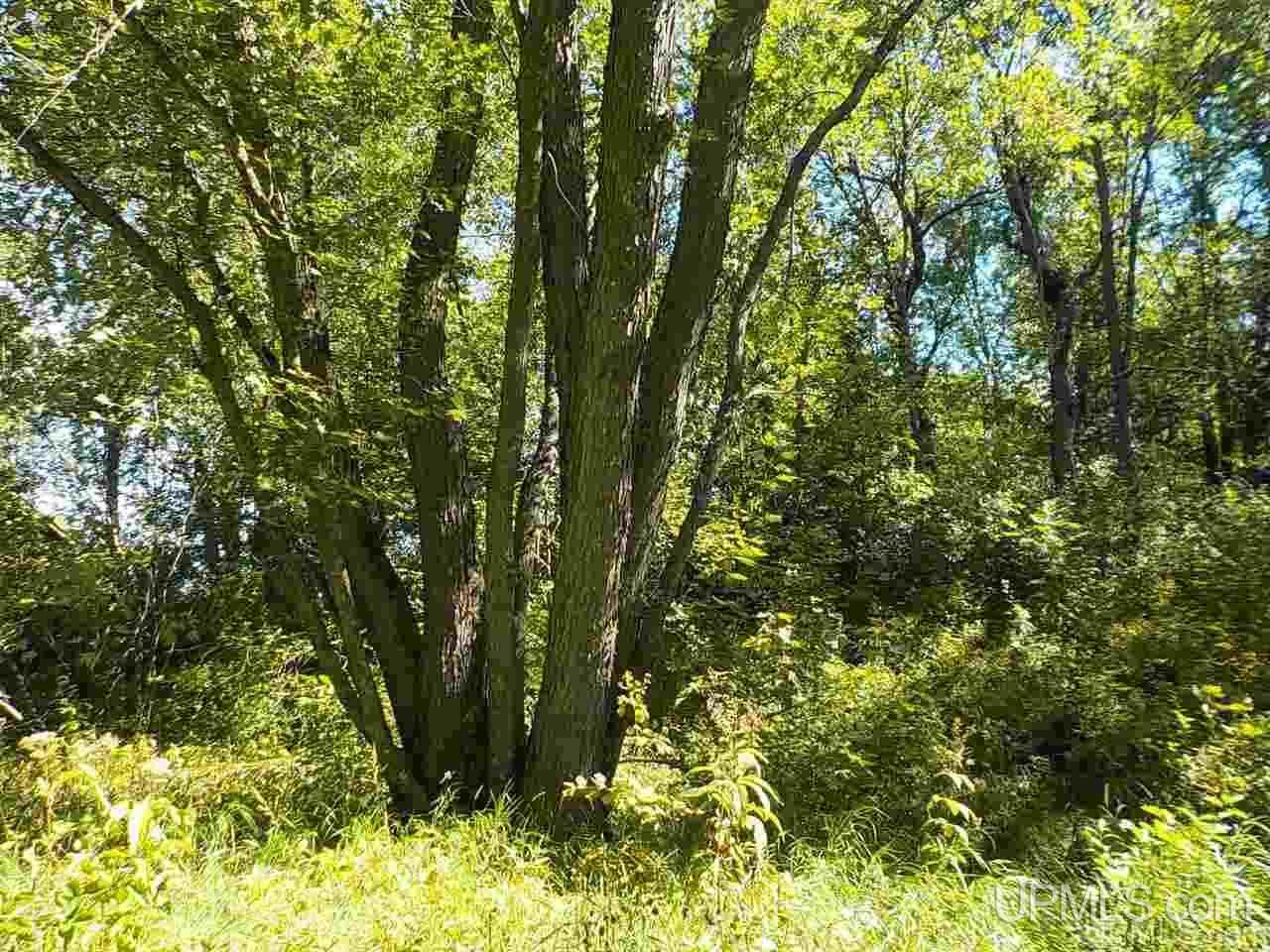 Tbd Parks Farm Road Iron River, MI 49920 - Photo 16 of 31