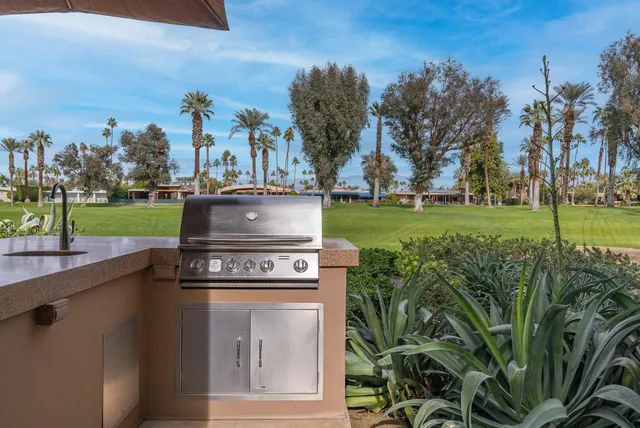 a view of a park with large trees