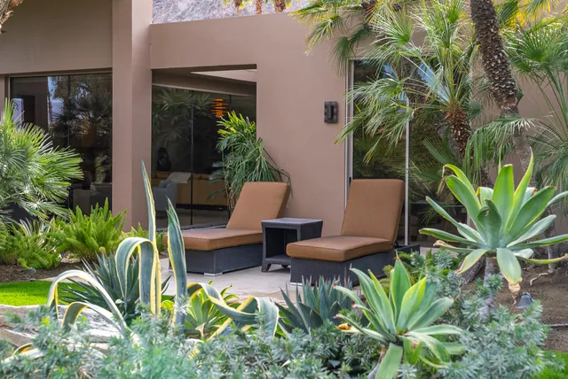a view of a backyard with couches chair and potted plants