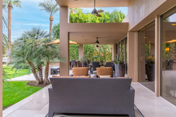 a view of a garden with plants