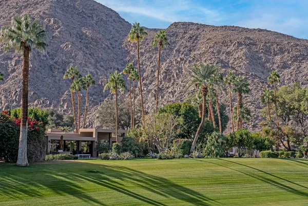 swimming pool view with a garden space