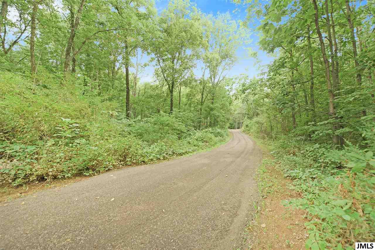 6116 Buckman Road Hanover, MI 49241 - Photo 5 of 34 Photo 5