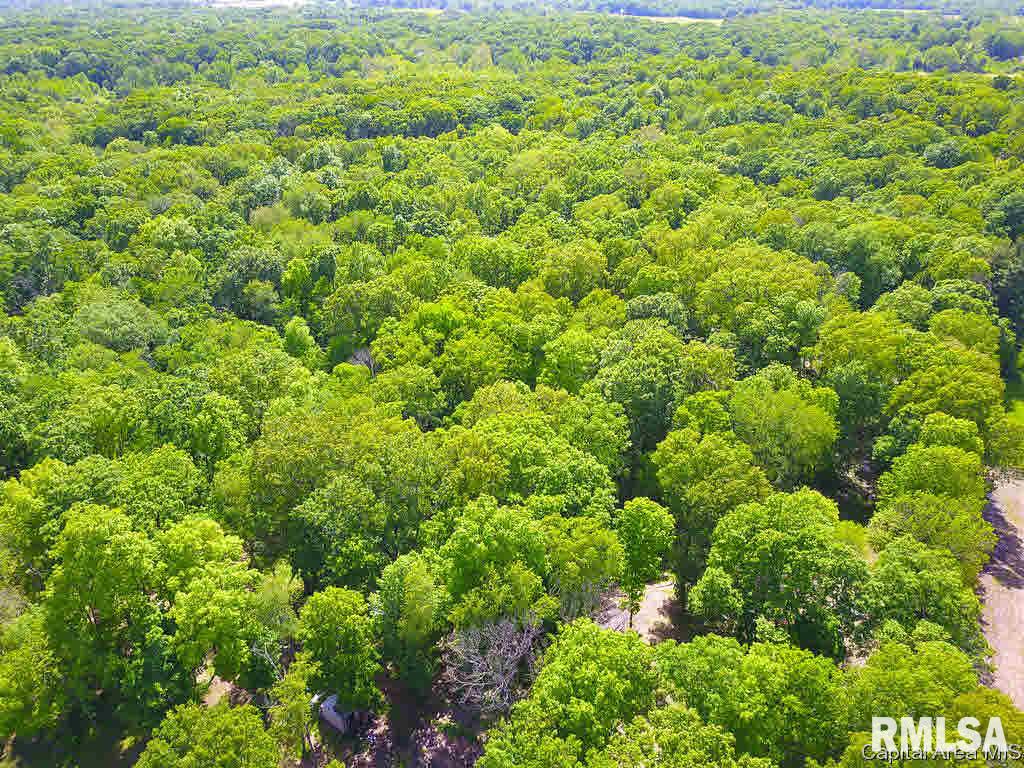 5342 Raymond Road Bunker Hill, IL 62014 - Photo 19 of 23 Gallery Image 19