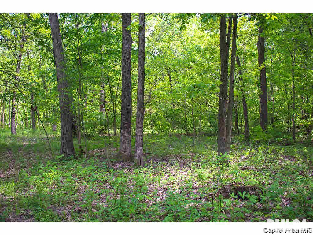 5342 Raymond Road Bunker Hill, IL 62014 - Photo 21 of 23 Gallery Image 21