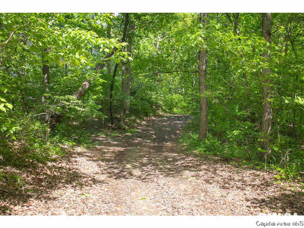 5342 Raymond Road Bunker Hill, IL 62014 - Photo 22 of 23 Gallery Image 22