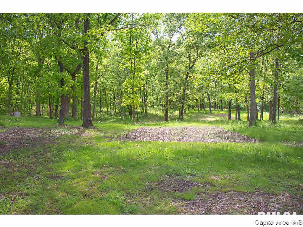 5342 Raymond Road Bunker Hill, IL 62014 - Photo 23 of 23 Gallery Image 23