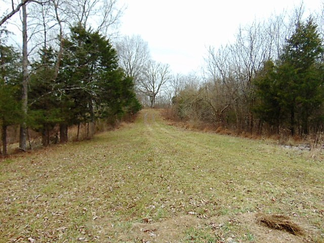 10655 Georgetown Road Owenton, KY 40359 - Photo 14 of 37 Gallery Image 14