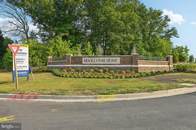 a view of a park with large trees