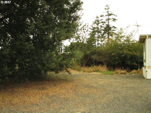 90857 Shell Lane Coos Bay, OR 97420 - Photo 11 of 13 Gallery Image 11