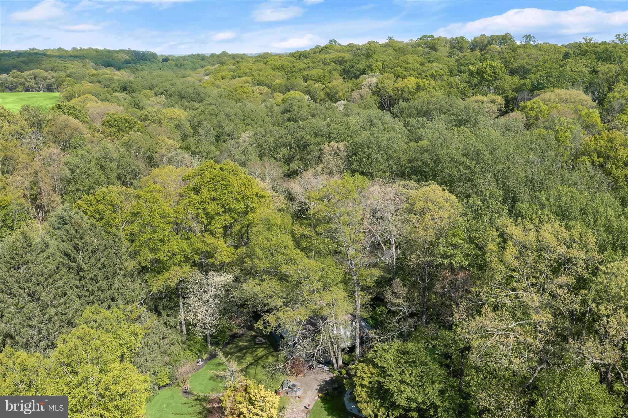 927 Buckhorn Road Sykesville, MD 21784 - Photo 131 of 147 a view of a forest with a lush green forest