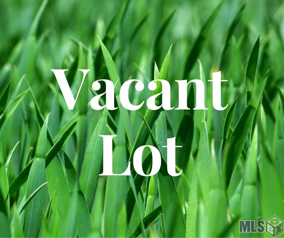 Lot A4 Reinninger Road Denham Springs, LA 70706 - Photo 1 of 1