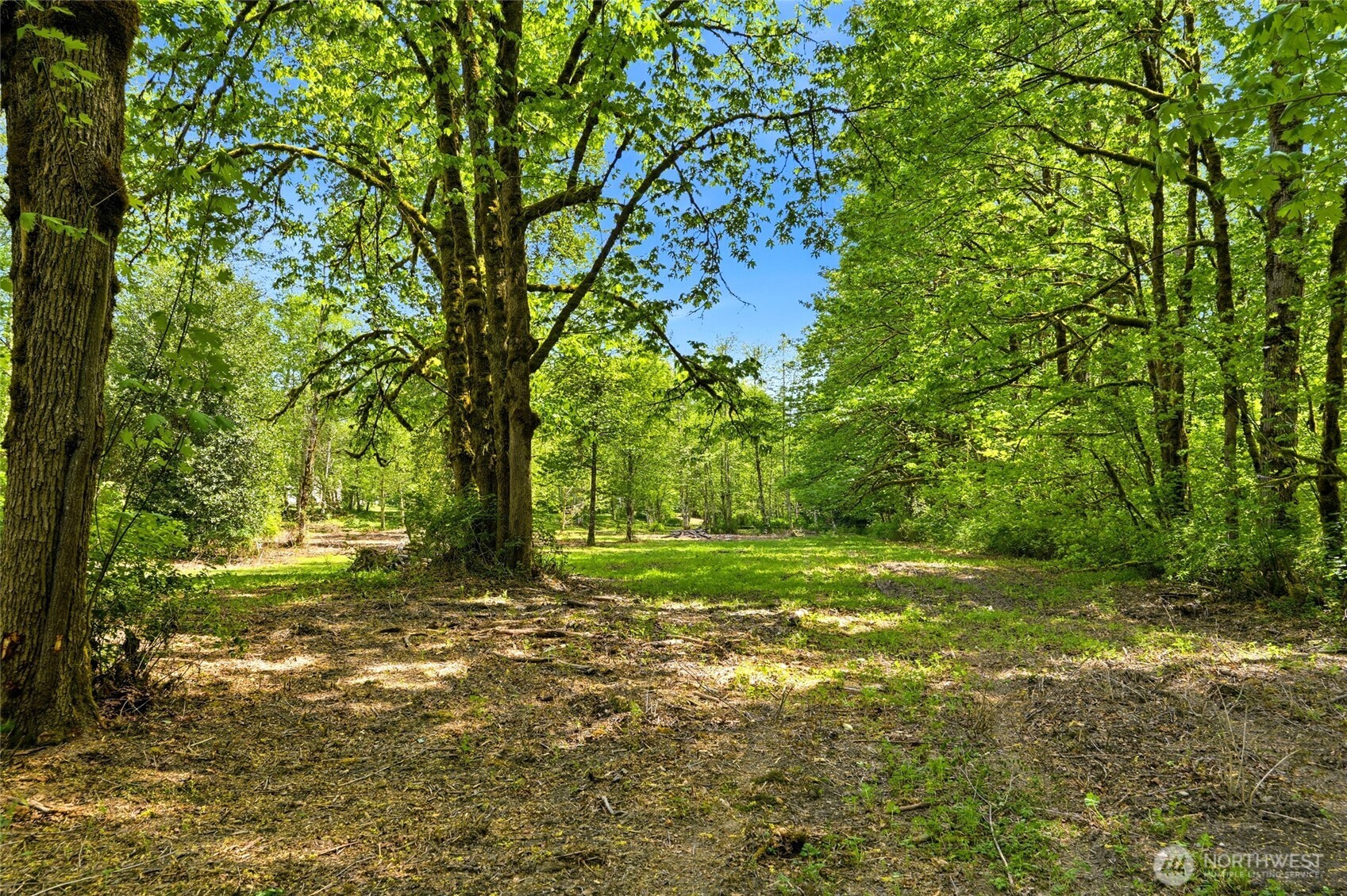 21716 State Rte 530 Northeast Arlington, WA 98223 - Photo 31 of 38 a big yard with lots of green space and trees all around