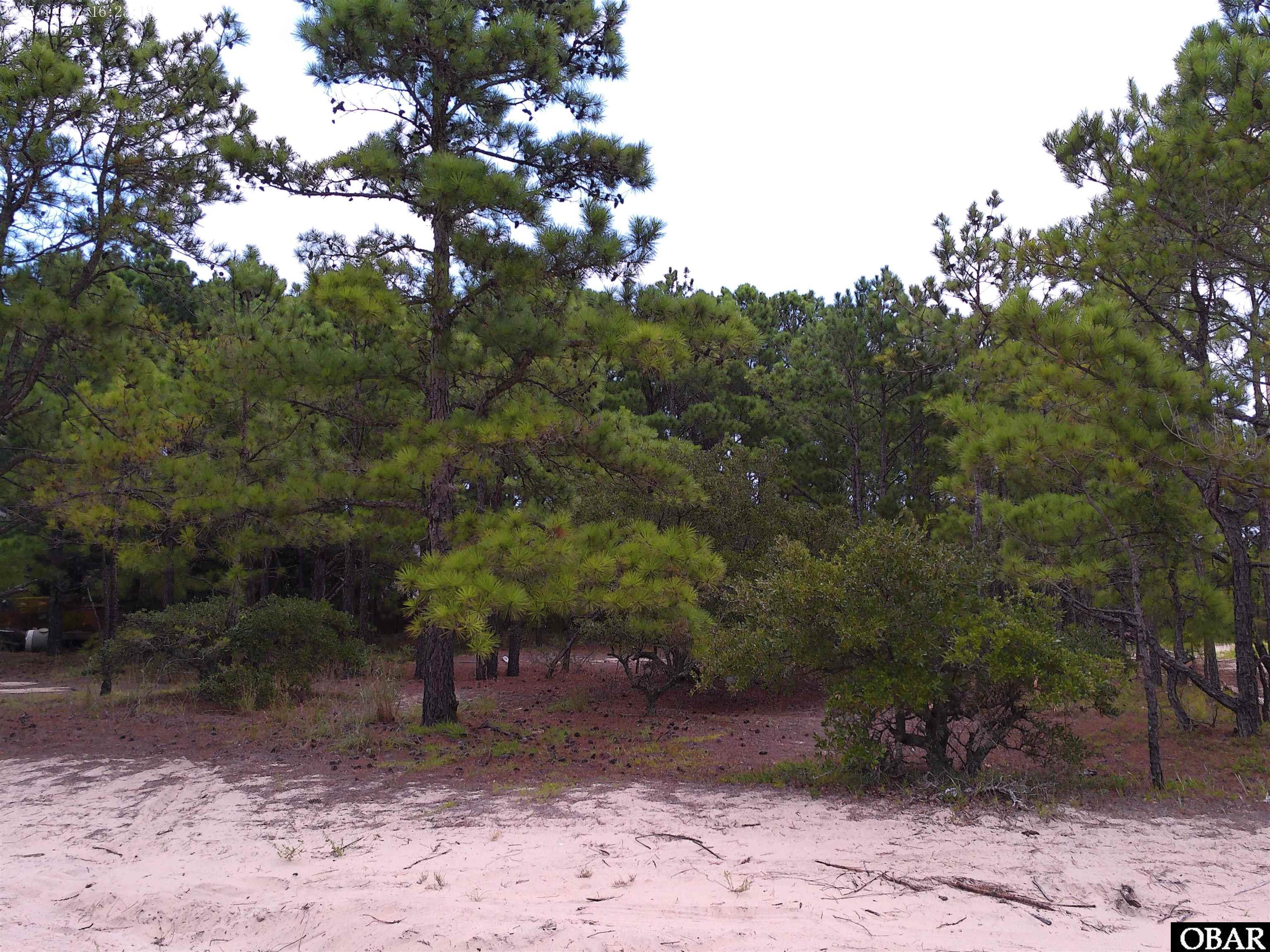 2327 False Cape Road Corolla, NC 27927 - Photo 2 of 7 Gallery Image 2