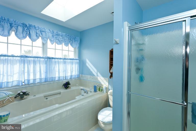 3619 Stansbury Mill Road Phoenix, MD 21131 - Photo 16 of 30 Bath (Master)