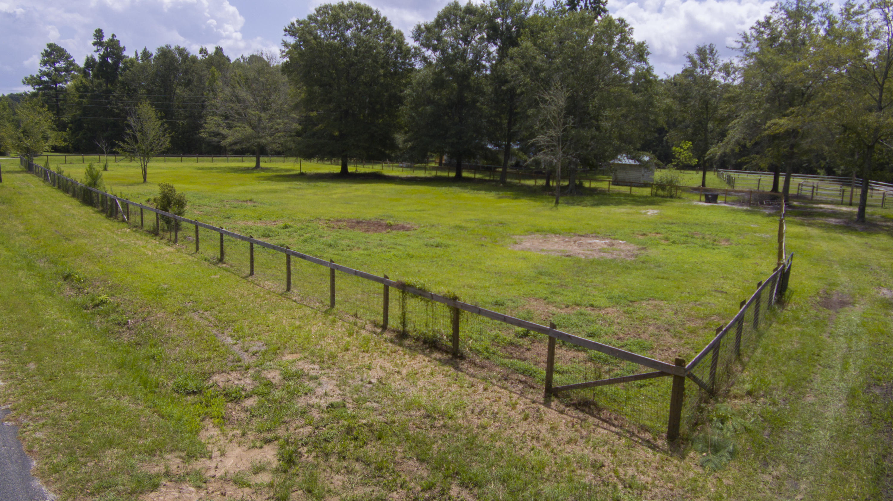 4455 Red Oak Road Cottageville, SC 29435 - Photo 37 of 41 Pasture