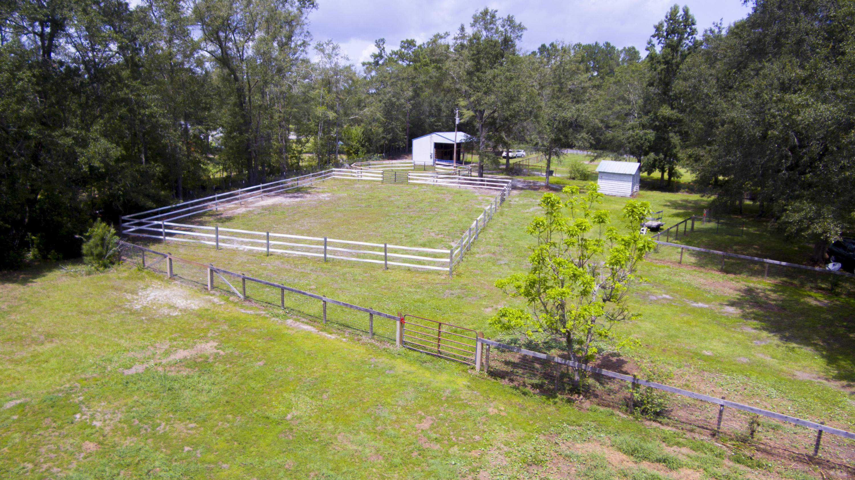 4455 Red Oak Road Cottageville, SC 29435 - Photo 38 of 41 Pasture and Arena