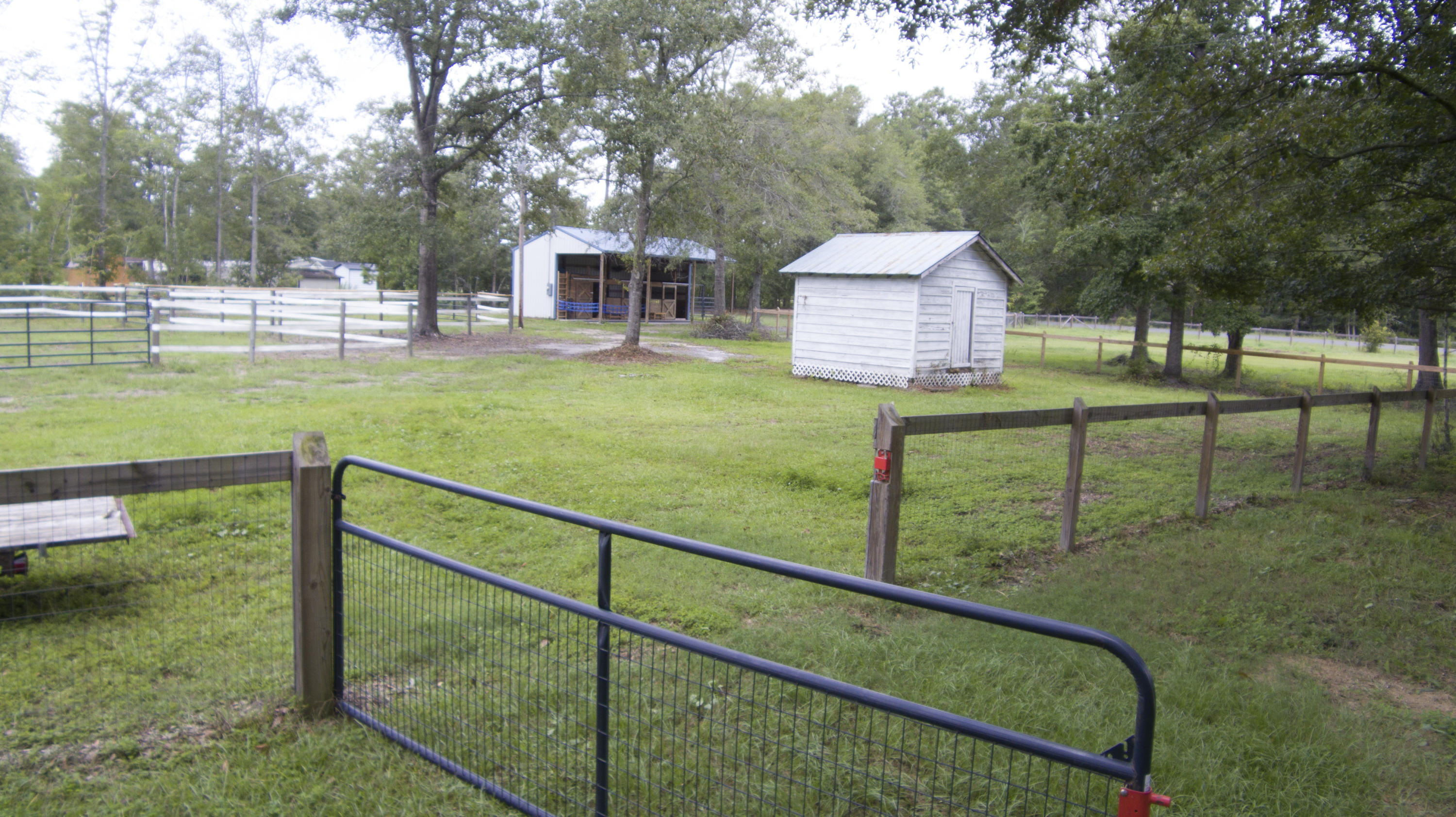 4455 Red Oak Road Cottageville, SC 29435 - Photo 41 of 41 4455RedOakRd_NoEdit_0065