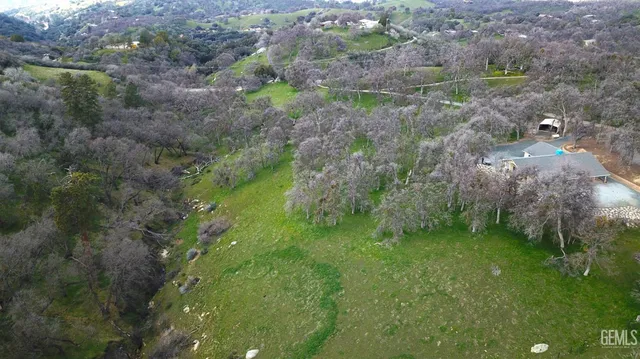 a big yard with lots of green space and deers