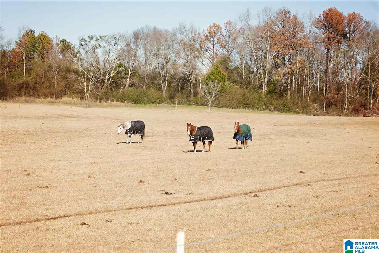 665 Scurlock Ranch Road Vincent, AL 35178 - Photo 40 of 41