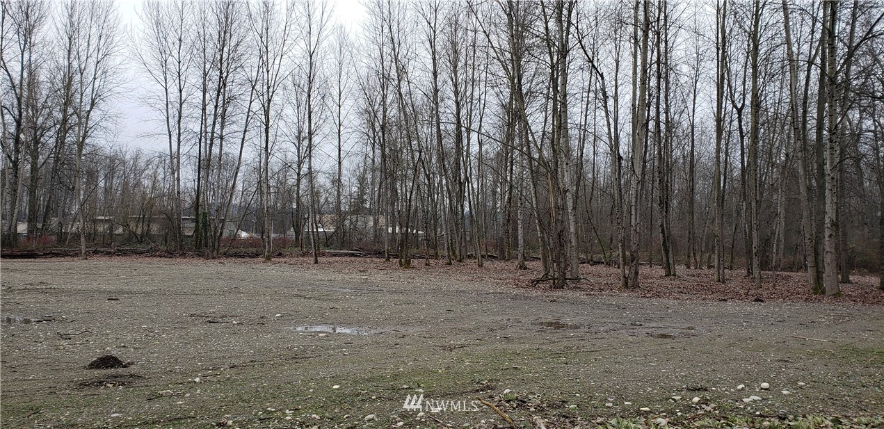 12825 Houston Road East Sumner, WA 98390 - Photo 14 of 34 a view of outdoor space with trees