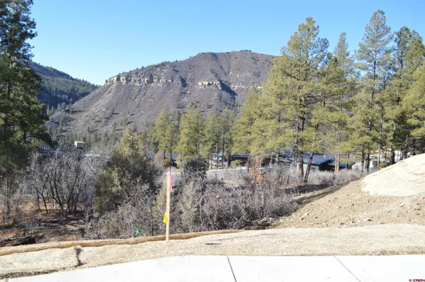 a view of a dry yard with mountains
