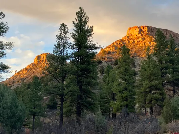 a sign that is sitting in front of flowers