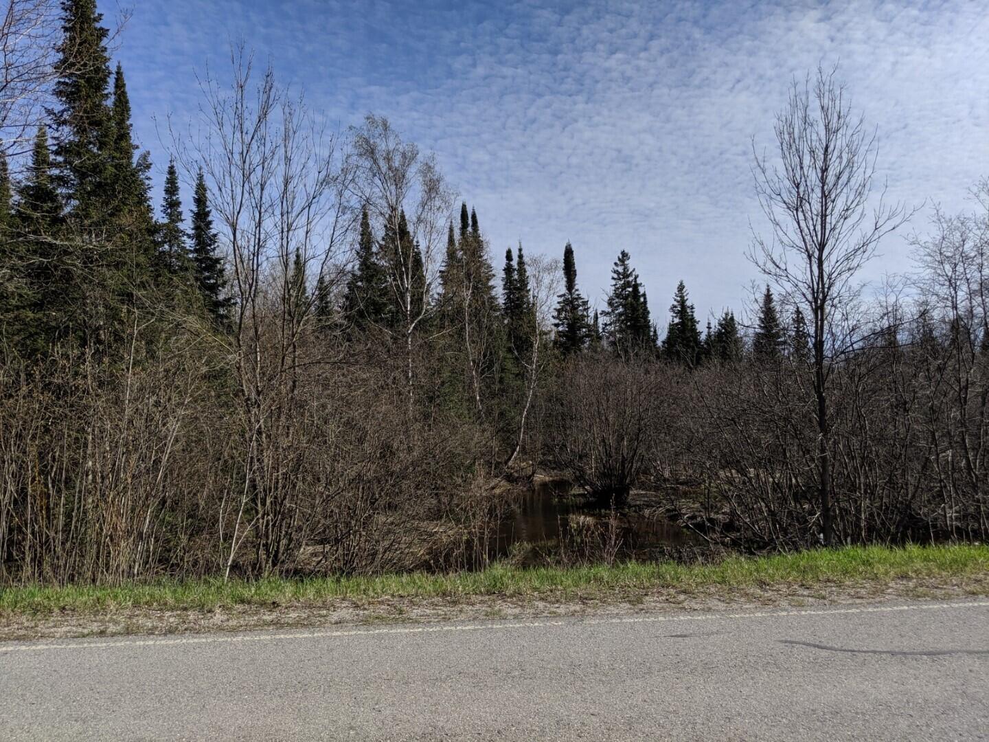 Black Point Road Moran, MI 49760 - Photo 6 of 12 Gallery Image 6