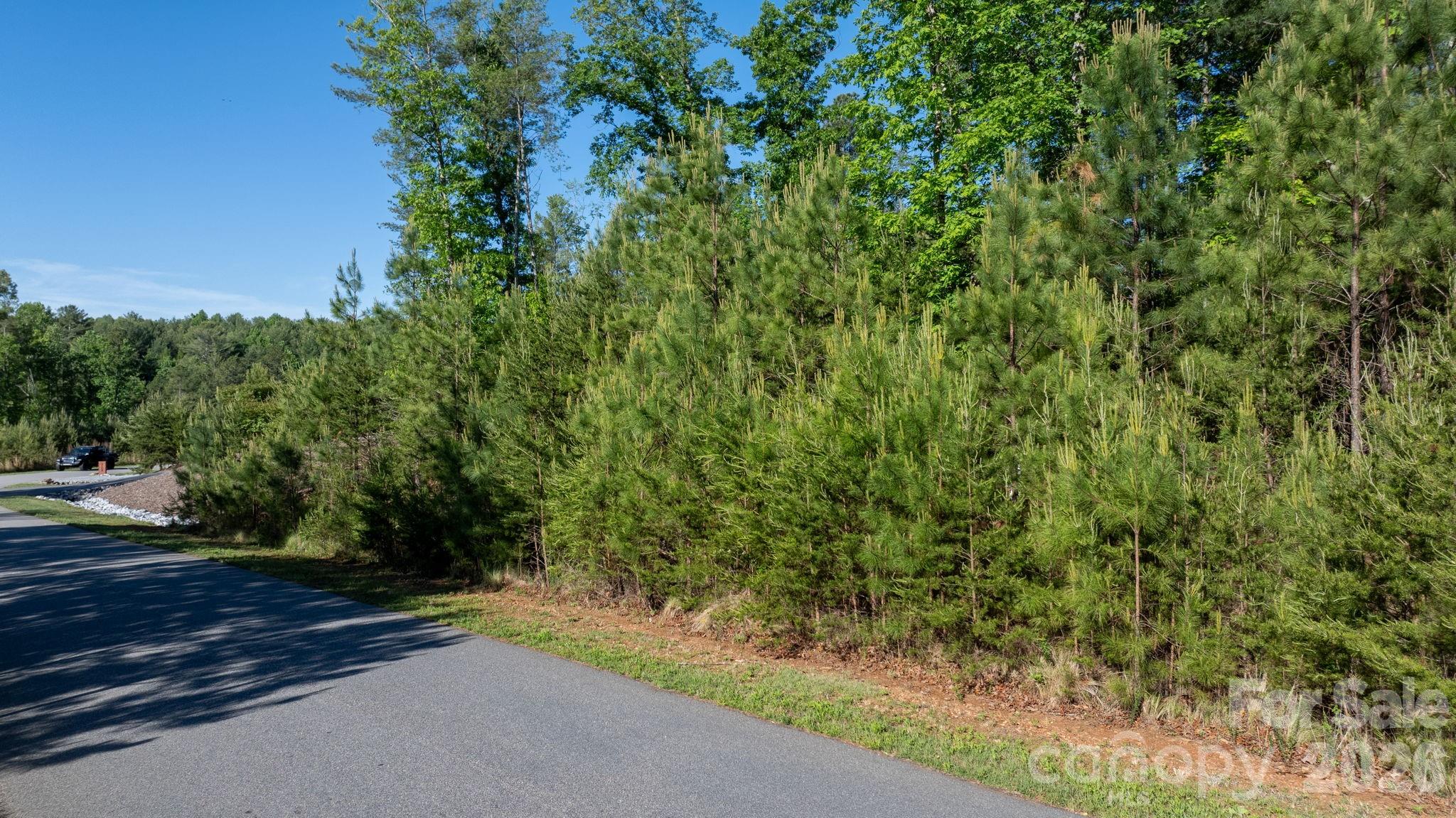 3030 Channel View Cove Morganton, NC 28655 - Photo 8 of 25