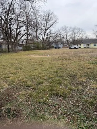a view of yard with trees