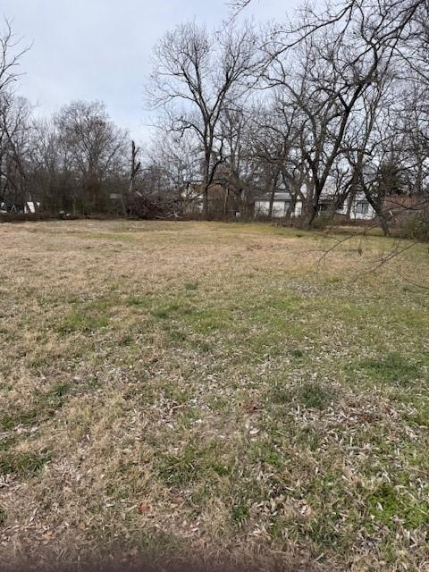 820 West 9th Street Bonham, TX 75418 - Photo 8 of 8 a view of outdoor space with trees all around