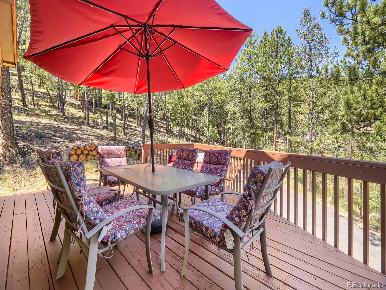 1423 Roland Drive Bailey, CO 80421 - Photo 24 of 36