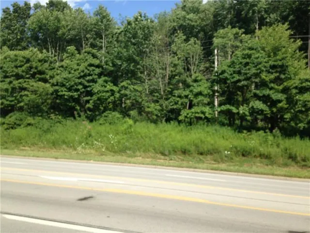 a view of a yard and front of a house
