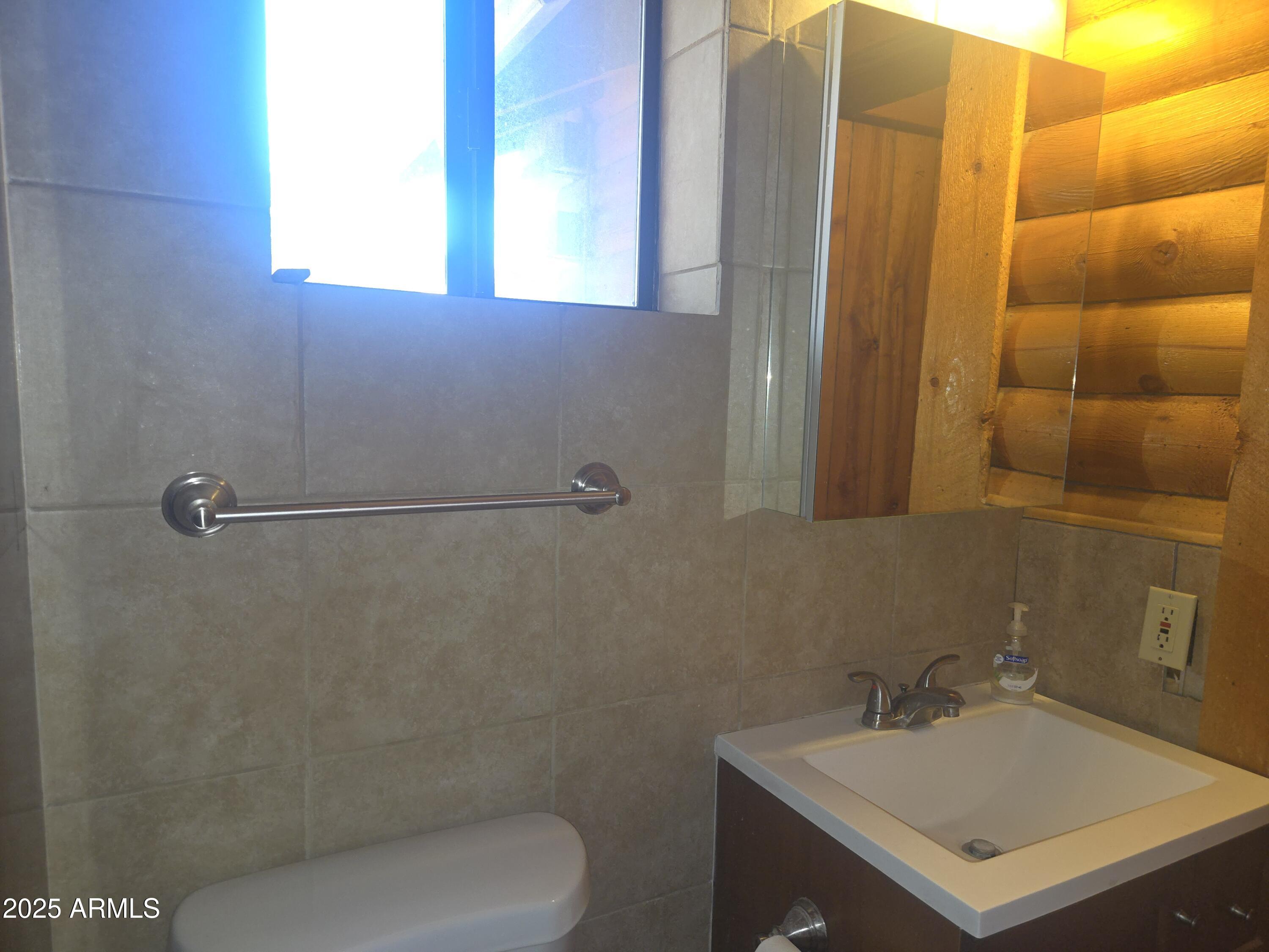 2145 Fishermans Road Overgaard, AZ 85933 - Photo 17 of 28 a bathroom with a sink toilet and shower