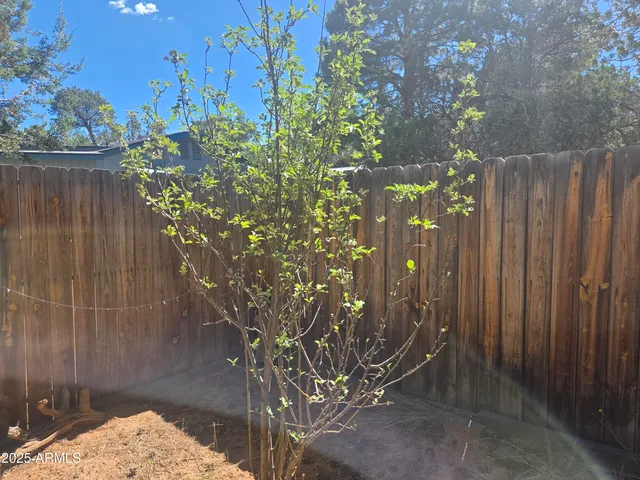 a view of a pathway with a yard