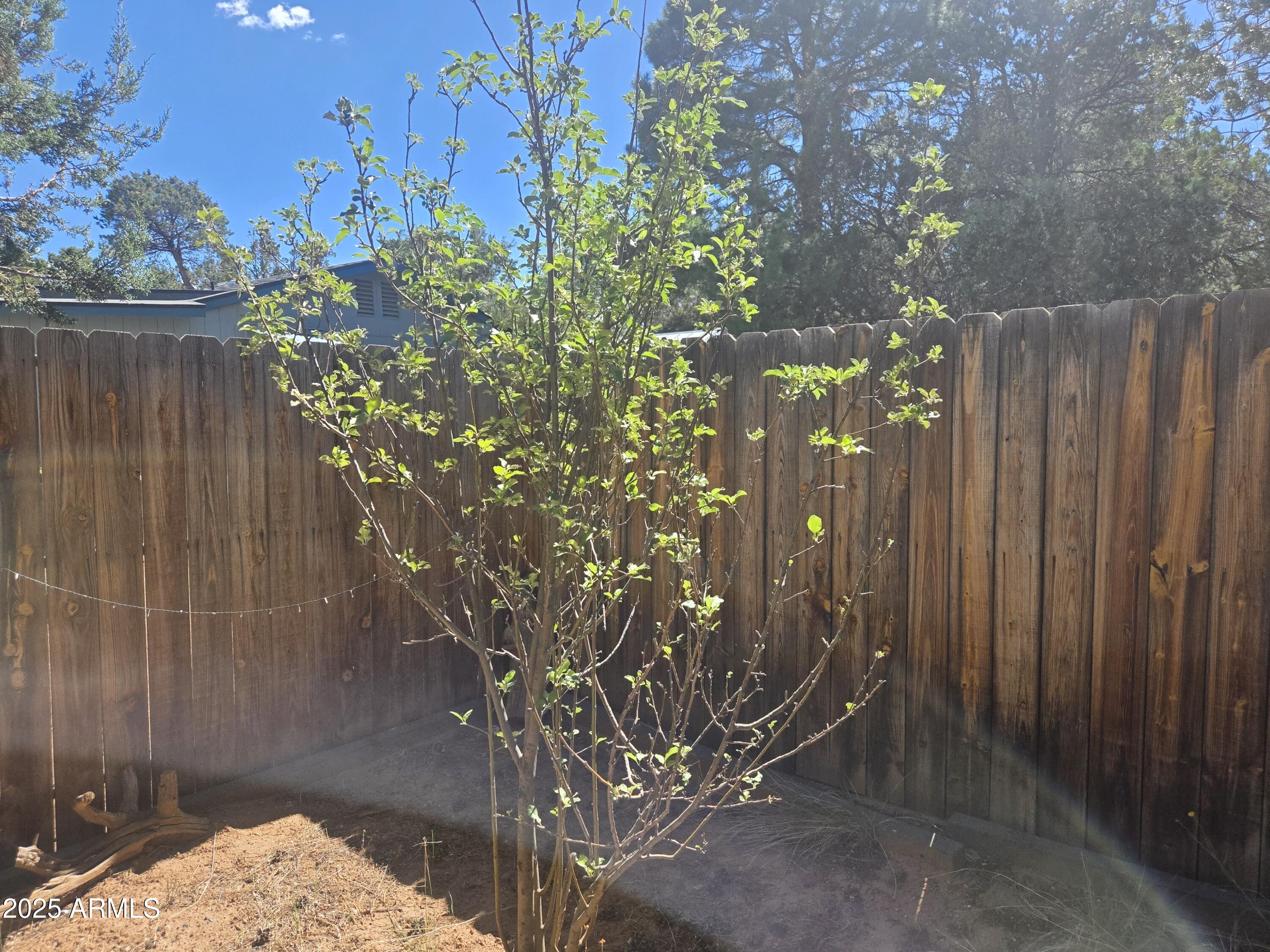 2145 Fishermans Road Overgaard, AZ 85933 - Photo 25 of 28 a backyard of a house with lots of green space